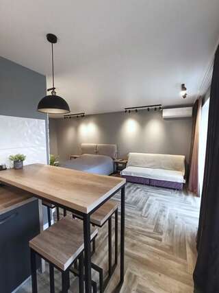 Апартаменты Уютная квартира возле БЦ Tower, концерт-холл Оазис Киев Апартаменты-студио-5